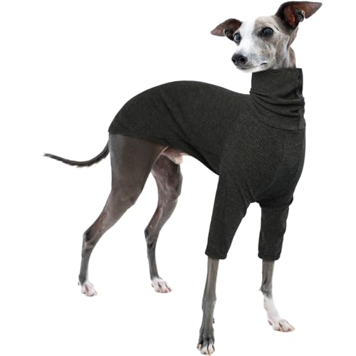 Whippet Pullover, Shirt Whippet Rollkragenpullover Italienischer Windhund Mantel Italienischer Windhund Kleidung Hundepullover Kleine Hunde(Grau, XS) von PUMYPOREITY