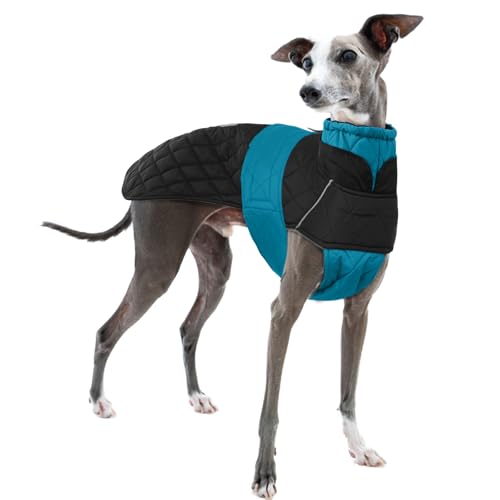 Whippet Winterjacke, Whippet-Mantel Fleece Wasserdicht Whippet jacken Whippet Winter Outfit Warm Whippet Hundeweste Whippet Winter Hundekleidung(Blau, S) von PUMYPOREITY