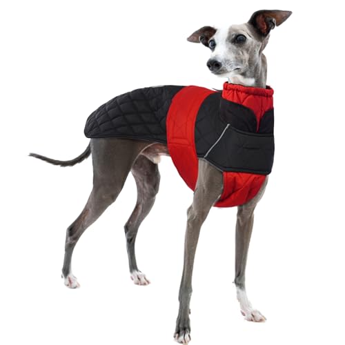 Whippet Mantel, Whippet Wintermantel Windhund Pullover Whippet Windhund Wintermantel Hundejacke für Windhunde Greyhound Winter Mantel(Rot, S) von PUMYPOREITY