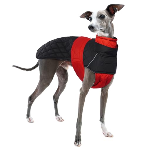 Whippet Wintermantel, Wasserdichter Mantel für Whippets Whippet Pullover Whippet Winter Hundebekleidung Winddichter Whippet Mäntel mit Reflexstreifen(Rot, XS) von PUMYPOREITY