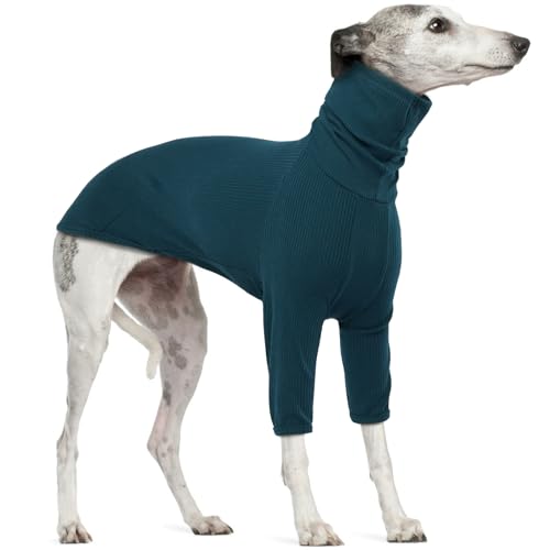 Windhund Mantel, Winter Hundepullover Strickpullover Windhund Sweater Hundejacke Große Hunde Winter Pullover Lurchers Mantel Windhund Sweatshirt(Blau, XL) von PUMYPOREITY