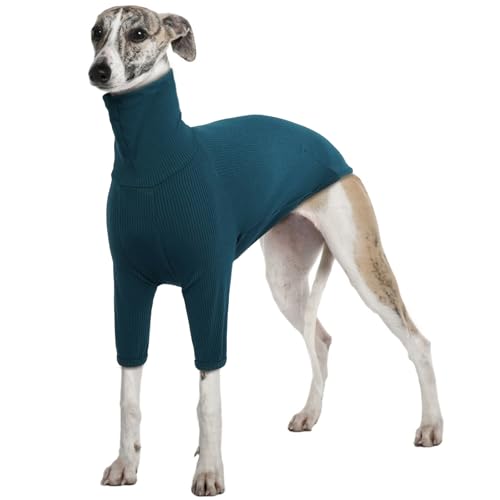 Windhund Pullover, Windhund Winter Jacke Strickpullover Hund Groß Greyhound Hundemantel Windhund Schlafanzug Jacke Salukis Mantel(Blau, 2XL) von PUMYPOREITY