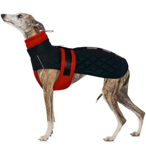 Windhund Wintermantel, Lurcher Hundejacke Wasserdicht Windhund Mantel mit Geschirrloch Outdoor Hundebekleidung für Whippet Lurcher Salukis(Rot, XL) von PUMYPOREITY