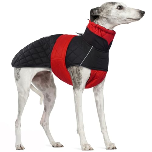 Windhund Wintermantel, Wasserdichter Whippet-Mantel Hundejacke Warm Hundemantel mittelgroße Hunde mit reflektierender Leiste(Rot, L) von PUMYPOREITY