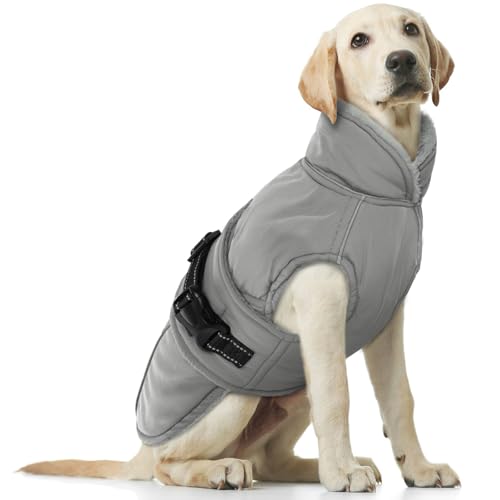 Hundemantel Grosse Hunde, Hundemantel Winter wasserdichte Hunde-Schneejacke Winter Hundepullover Fleece Winterjacke Winddichter(Grau, L) von PUMYPOREITY