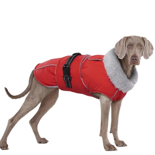 Hundemantel Winter, wasserdichte Warme Jacke Weste Hundejacke Fleece Gefüttert Wintermantel mit Fleecekragen Winter Hundekleidung(Rot, 3XL) von PUMYPOREITY