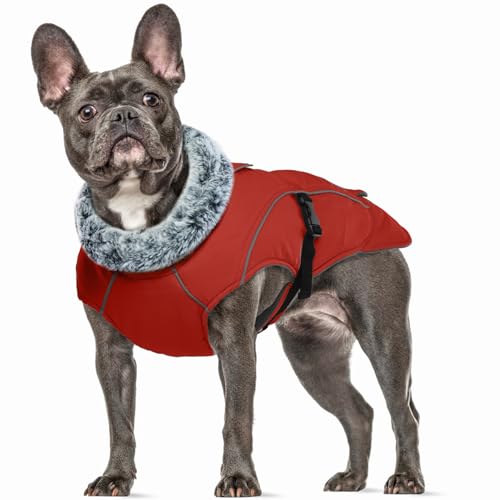 Wintermantel Hund Mittelgroß, Wasserdicht Hundemantel Warme Hundejacke Mittelgroße Hunde Thermo Hundemantel Winter Warm Wasserdicht(Rot, M) von PUMYPOREITY