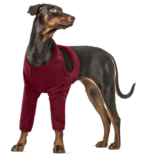 Hund Leckschutz Pfote, Hund Op Body mit Beinen Liegeschwielen Hund Leckschutz für Hunde Vorderbeine Hunde Kniebandage Verband Hund Bein(Rot, 2XL) von PUMYPOREITY