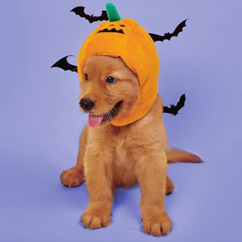 Haustier-Kürbishut, Halloween-Haustier-Kopfbedeckung, Modische, Niedliche, Lustige, Dekorative Halloween-Hundekopfbedeckung Hunde, Katzen, Haustiere von PUNELE