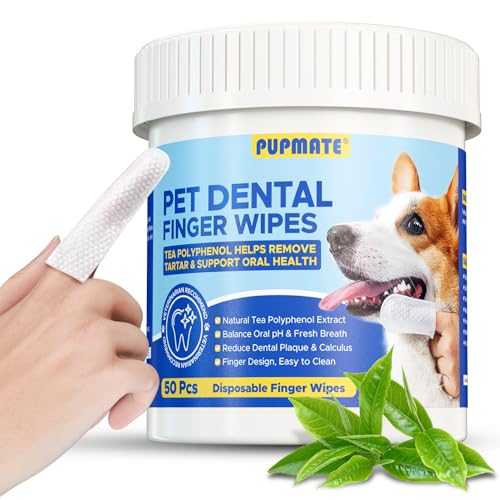 PUPMATE Hundezahnpflegetücher – Hundezahnreinigung Fingertücher – Hundezahnbürsten-Set – Zahnbelag entfernen und den Atem erfrischen, 50 Stück von PUPMATE