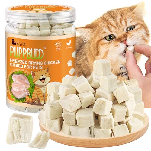 Gefriergetrocknete Snacks für Katzen, Knuspriger Katzensnack mit Huhn Katzen Leckerlies von PUPPBUDD