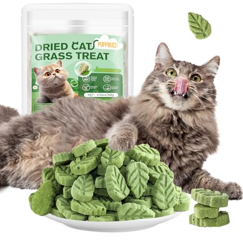 PUPPBUDD Katzengras Snacks, 100g Gefriergetrocknet Snacks für Katzen, Katzengras-Beißstäbchen Fertig Gewachsen für die Zahnpflege, Katzengrasstäbchen Haarknäuel Entfernen von PUPPBUDD