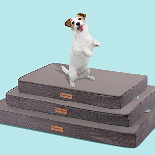 PUPPY PAW Waschbares kühlendes Haustierbett für kleine, mittelgroße Hunde und Katzen, Certipur-Us zertifiziertes Memory-Foam-Haustierbett mit wasserdichtem Innenfutter (73,7 x 45,7 cm, bis zu 22,7 kg) von PUPPY PAW