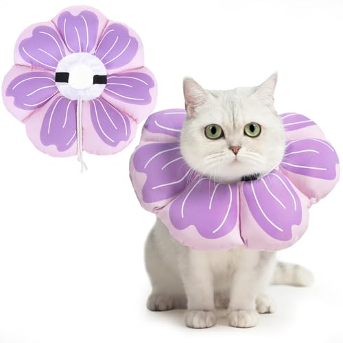 PUPTECK Katzenkegelhalsband, weich, verstellbar, schützende Katzen-Genesungsblumen-Halsband-Alternative, bequemes elisabethanisches Katzenhalsband, leicht, stoppen Sie Lecken, Halskegel für Katzen von PUPTECK