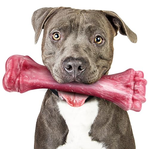 Hundespielzeug für aggressive Kauer, unzerstörbare Hundeknochen für aggressive Kauer, robustes Kauspielzeug für robuste Hunde, Spielzeug für große Hunde mit strapazierfähigem Nylon für große und von PUPTILY