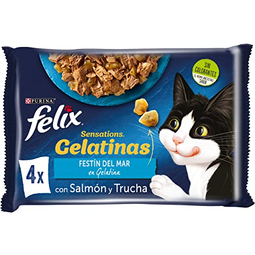 Felix Purina Sensations Nassfutter für Katzen, Erwachsene, Fischsortiment, 12 Packungen mit 4 Beuteln, 85 g - 48 Stück von Felix