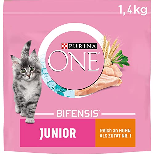 PURINA ONE BIFENSIS JUNIOR 1–12 Katzenfutter Kitten trocken, reich an Huhn, 6er Pack (6 x 1,4kg) von PURINA ONE