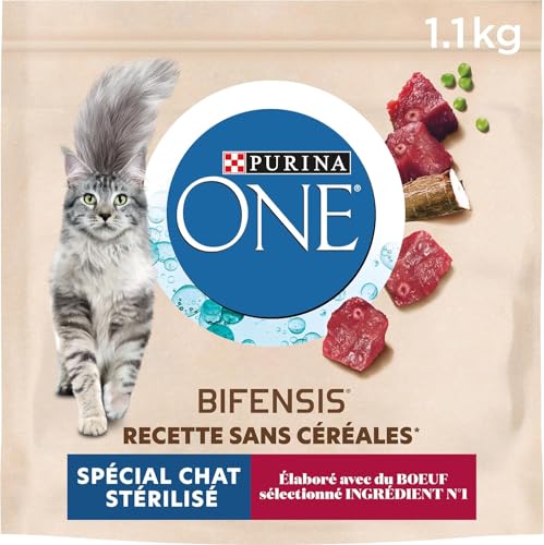 PURINA ONE Bifensis ohne Getreide | Rindfleischfutter für ausgewachsene Katzen | 1,1 kg Beutel von PURINA ONE