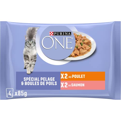 PURINA ONE Fell & Kugeln aus angeschrägten Borsten in Sauce, Verschiedene Aromen, Huhn und Lachs, Mahlzeitenbeutel für ausgewachsene Katzen, 4 x 85 g, 12 Stück von PURINA ONE