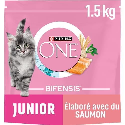 PURINA ONE Junior Katze von 1 bis 12 Monaten, hergestellt mit ausgewähltem Lachs, 1,5 kg – Trockenfutter für Kätzchen von PURINA ONE