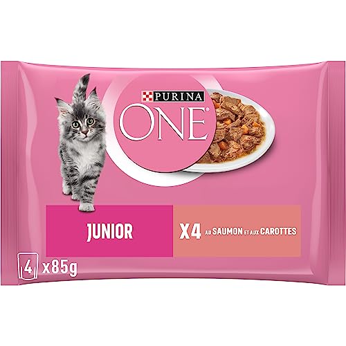 PURINA ONE Junior mit Lachs für Kätzchen | 4 x 85 g | 4 Stück von PURINA ONE