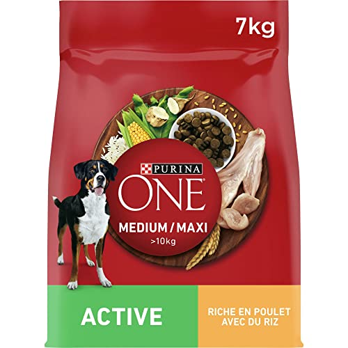 PURINA ONE Medium/Maxi > 10 kg Active | Trockenfutter reich an Huhn für Erwachsene Hunde | 7 kg Beutel von PURINA ONE