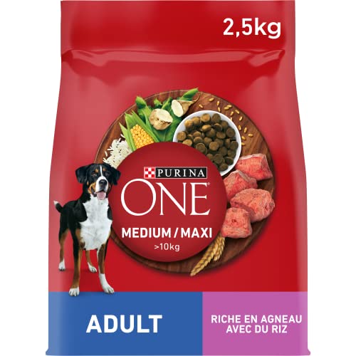 PURINA ONE Medium/Maxi > 10 kg | Erwachsene | Reich an Lamm | Trockenfutter für Erwachsene Hunde | Beutel mit 2,5 kg von PURINA ONE