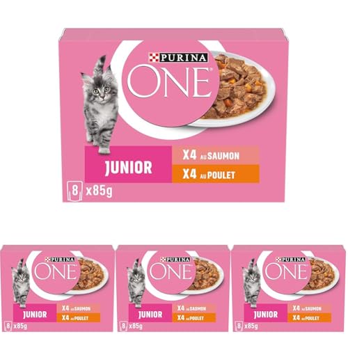 PURINA One Junior Dispersions-Sauce, Verschiedene Geschmacksrichtungen, Lachs und Huhn, für Kätzchen, 8 x 85 g (Packung mit 4) von PURINA ONE