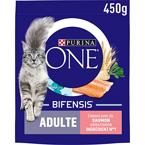 Purina Ein Erwachsener Katzenfutter mit Lachs und Vollkornprodukten - 450 g von PURINA ONE