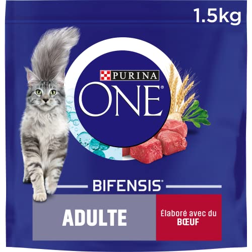 Purina One Adult mit Rindfleisch und Vollkorn, Trockenfutter für ausgewachsene Katzen, 1,5 kg von PURINA ONE