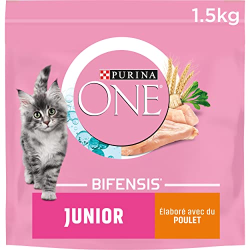 Purina One Kroketten FÜR Katzen, Merkmal Des Tieres WÄHlbar, 1,5&Nbsp;Kg&Nbsp;&Ndash;&Nbsp;6&Nbsp;Packungen (9&Nbsp;Kg) , 1.5 Kg von PURINA ONE