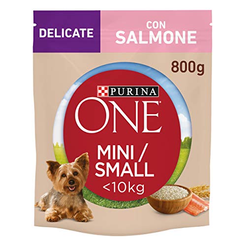 Purina One Mini weniger als 10 kg Delicate Trockenfutter für kleine Hunde mit Lachs und Reis, 8 Packungen à 800 g von PURINA ONE