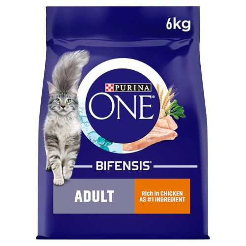 Purina One Trockenfutter für ausgewachsene Katzen, 6 Kg von PURINA ONE