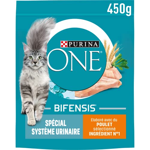 Purina One Urinary Care Croquettes für Erwachsene, 450 g von PURINA ONE