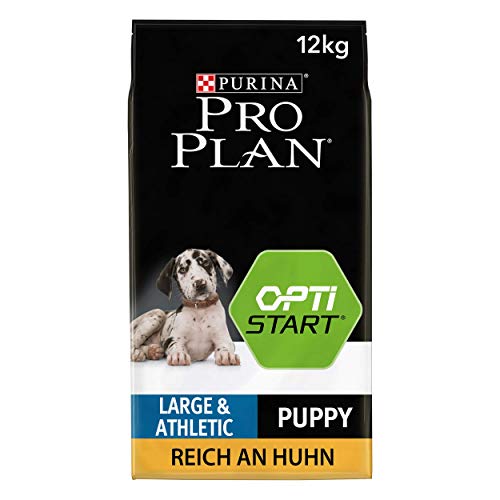 Pro Plan Large Athletic Puppy Healthy Start, Welpenfutter trocken, reich an Huhn, 1er Pack (1 x 12 kg) von Pro Plan