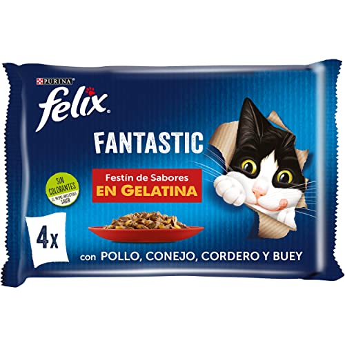 PURINA FELIX Fantastic Festin, Gelatin-Nahrung für Katzen, Verschiedene Fleischsorten, 12 x [4 x 85 g] von Felix