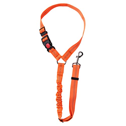 Hunde-Sicherheitsgurt Hund Katze Autogurt Praktisches Nylon Orange Little Surprise von PURRL