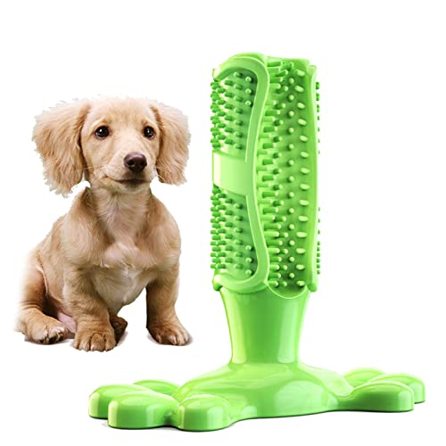 PUYYDS Pet Educational Interactive Toys Katze und Hund Molar Stick Hund Kauspielzeug Hundezahnbürste Hundezubehör Leak Feeder von PUYYDS