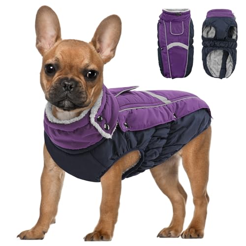 PUZAUKAL Hund Wintermantel wasserdichte,Hundejacke Winter Reflektierend Hundejacke für Kleine Mittlere Große Hunde Warme Wintermantel Hund mit Fleece Gefütterte Welpen Winterweste,Lila(M) von PUZAUKAL