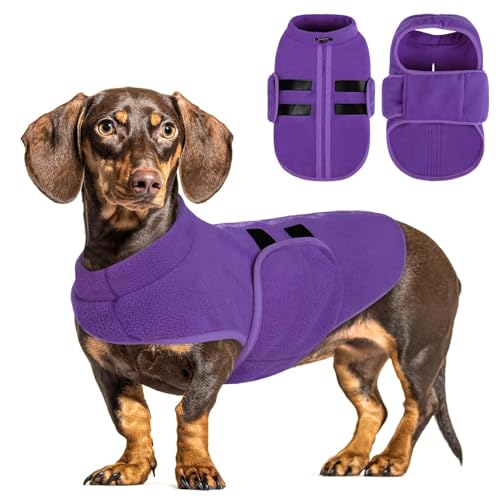 PUZAUKAL Hundepullover Fleece Weste Hundemäntel Winter Warmer Hundeweste für Kleine Hunde Weicher Fleece Hundejacke mit Geschirr Pullover für Mittel Großen Hund Katze-Lila(L) von PUZAUKAL