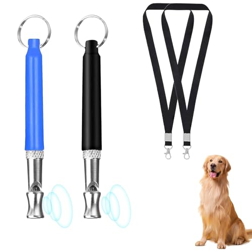 PVFZXS 2PCS Hundepfeife, High-Frequency Quiet Adjustable Barking with Lanyard Hundepfeife Lautlos, Hundepfeife Hochfrequenz Lautlos Made of Stainless Steel, High Frequency, Silent, Dog Owner von PVFZXS