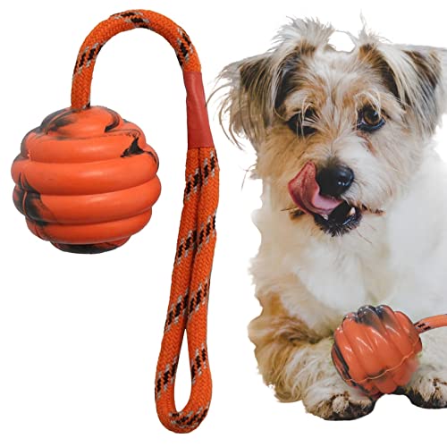 PW TOOLS Hundeseilspielzeug Ball,Seilspielzeug für Hunde, Übungs- und Belohnungswerkzeug - Interaktives Kauseil-Ballspielzeug, waschbares, langlebiges Übungs- und Belohnungswerkzeug. Glückliche von PW TOOLS