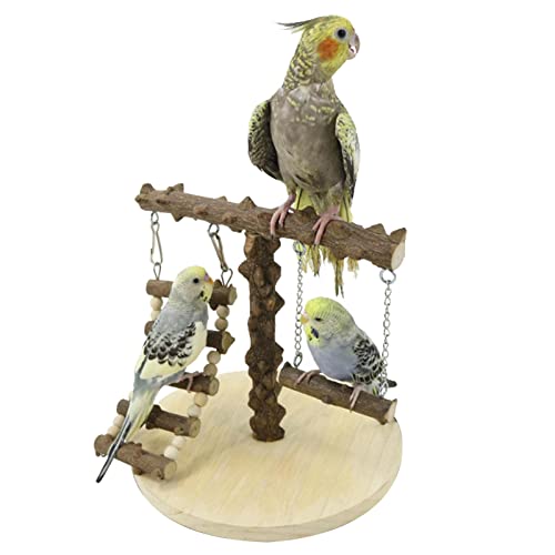Papageienständer Holz - Vogelspielplatz | Vogeltrainingsständer mit Leiter und Schaukel, natürliche Sitzstangen, Spielplatz für von PW TOOLS