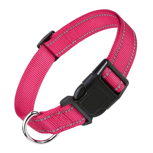 PWOD Reflektierendes Hundehalsband, verstellbar, Nylon, Haustierhalsbänder mit Schnalle für Welpen und kleine Hunde, Katzen, Hotpink, L von PWOD