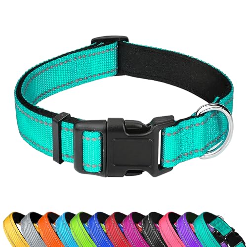 PWOD Reflektierendes Hundehalsband, verstellbar, weich, Neopren, gepolstert, Nylon, Haustierhalsbänder mit Schnalle, für Welpen und kleine Hunde, Katzen, Blaugrün, XS von PWOD