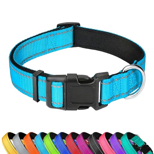 PWOD Reflektierendes Hundehalsband, verstellbar, weiches Neopren, gepolstert, Nylon, Haustierhalsbänder mit Schnalle für Welpen und kleine Hunde, Himmelblau, XS von PWOD