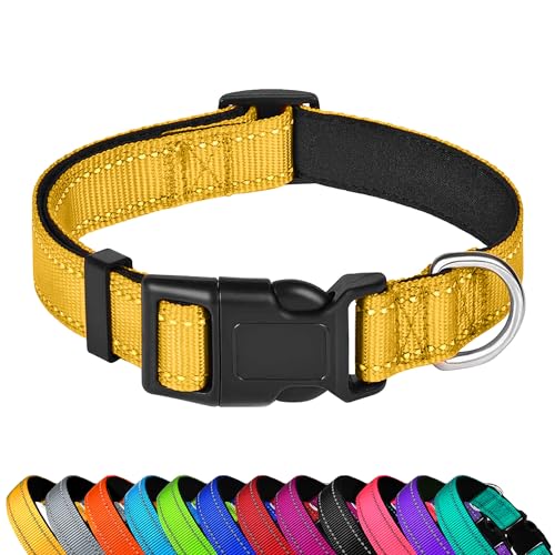 PWOD Reflektierendes Hundehalsband, verstellbar, weiches Neopren, gepolstert, Nylon, Haustierhalsbänder mit Schnalle für Welpen und kleine Hunde, Katzen, Gelb, XS von PWOD