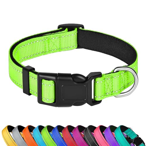 PWOD Reflektierendes Hundehalsband, verstellbar, weiches Neopren, gepolstert, Nylon, Haustierhalsbänder mit Schnalle für Welpen und kleine Hunde, Katzen, Grün, XS von PWOD