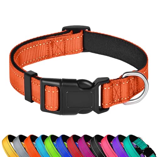 PWOD Reflektierendes Hundehalsband, verstellbar, weiches Neopren, gepolstert, Nylon, Haustierhalsbänder mit Schnalle für Welpen und kleine Hunde, Katzen, Orange, XS von PWOD