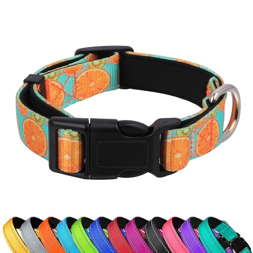 PWOD Reflektierendes Hundehalsband, verstellbar, weiches Neopren, gepolstert, Nylon, Haustierhalsbänder mit Schnalle für Welpen und kleine Hunde, Katzen, Sommerzitrone, L von PWOD